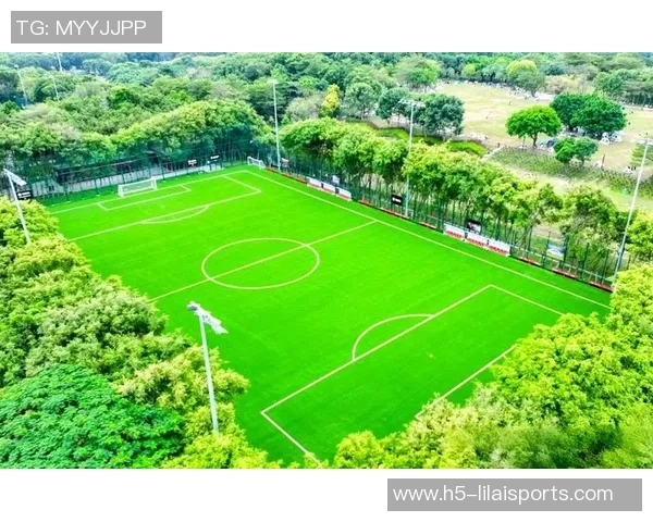 深圳专业足球场打造高水平赛事平台助力青少年足球发展 深圳专业足球场打造高水平赛事平台助力青少年足球发展